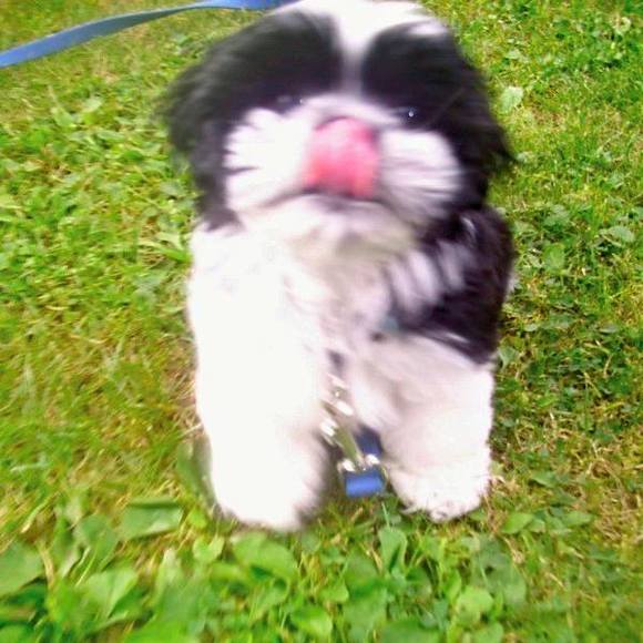 Meet your Posher, Debbie - Picture 1 of 1